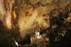 Jaskinia Postojna